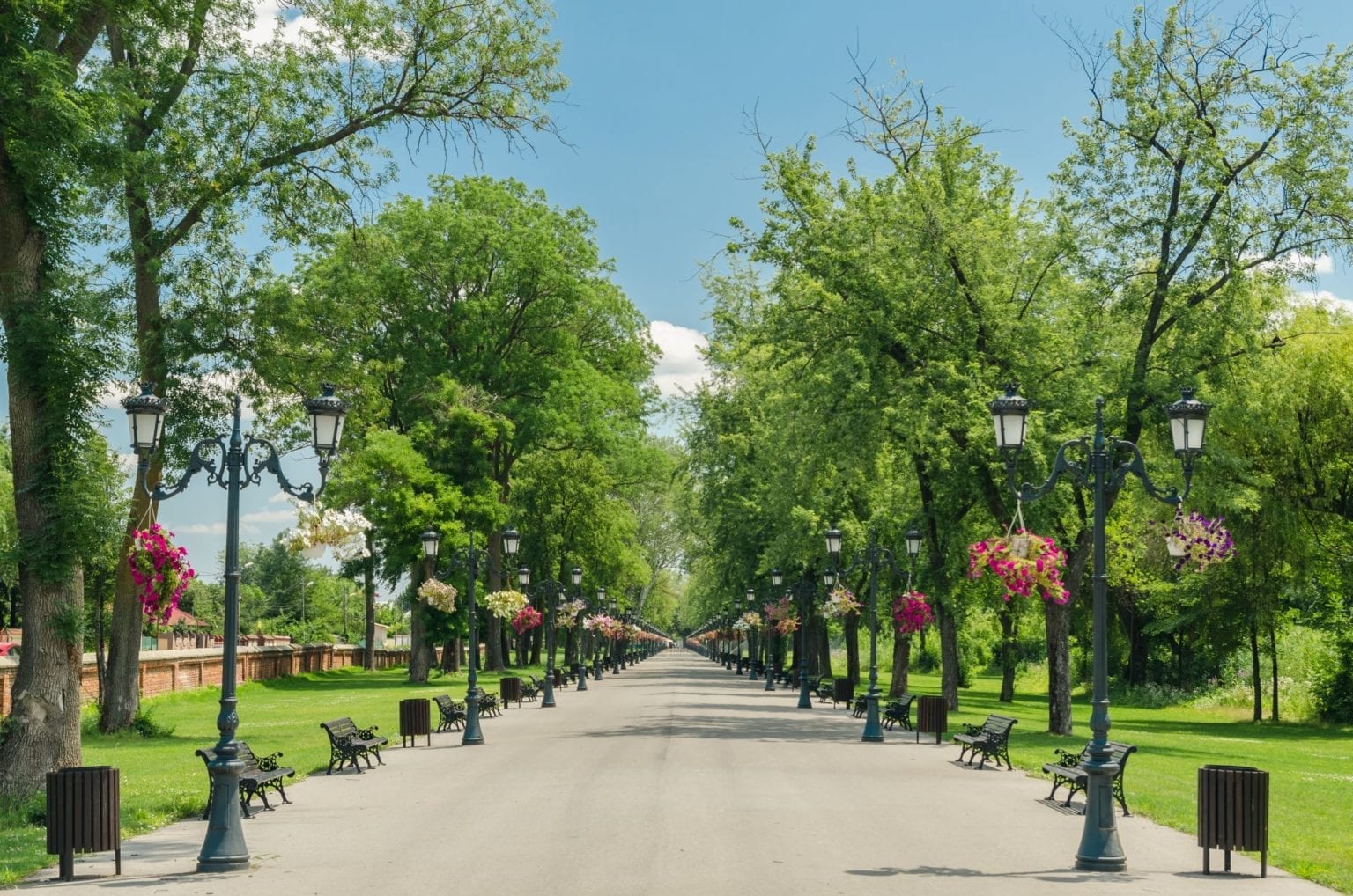 Сколько лет аллее. Парки Бухареста. Аллея. Парки и аллеи. Летний бульвар.