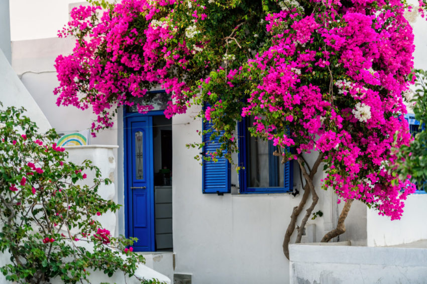 האיים הכי שווים ביוון